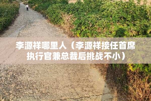 李源祥哪里人（李源祥接任首席执行官兼总裁后挑战不小）
