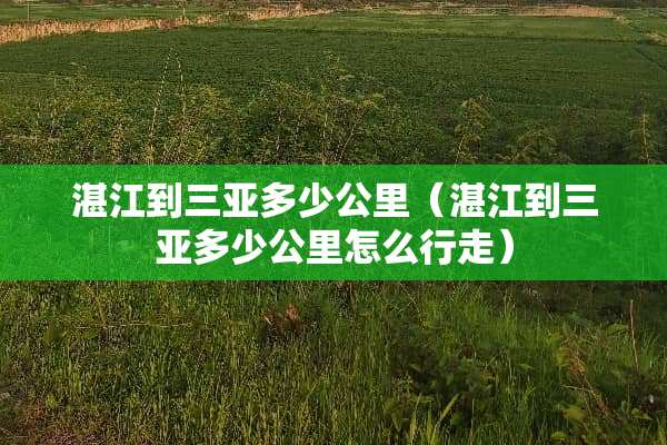 湛江到三亚多少公里（湛江到三亚多少公里怎么行走）