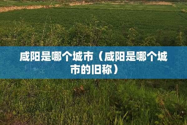 咸阳是哪个城市（咸阳是哪个城市的旧称）