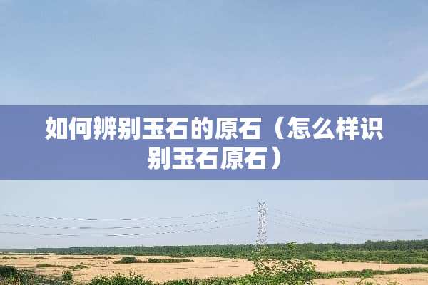 如何辨别玉石的原石（怎么样识别玉石原石）