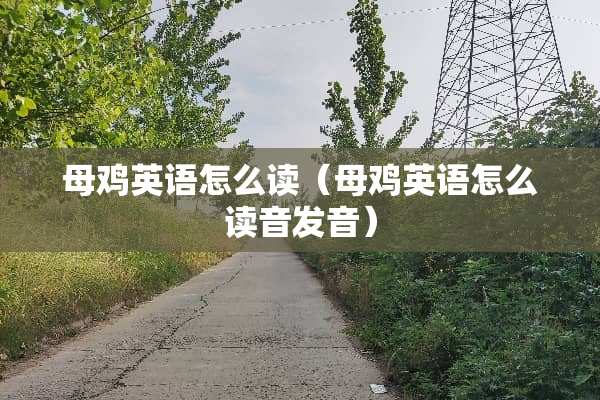 母鸡英语怎么读（母鸡英语怎么读音发音）