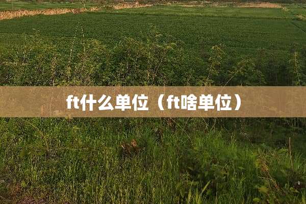 ft什么单位（ft啥单位）