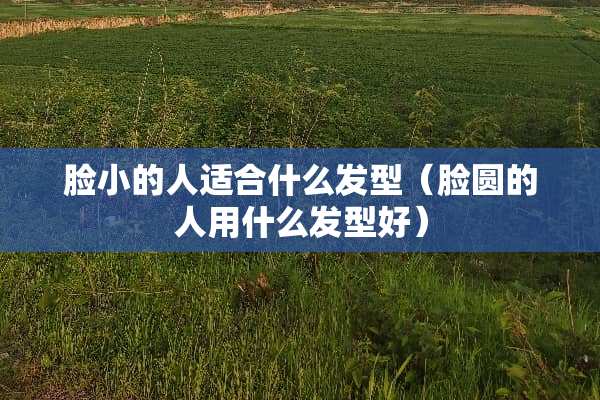 脸小的人适合什么发型（脸圆的人用什么发型好）