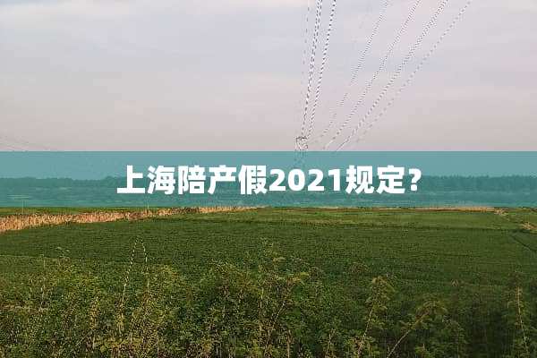 上海陪产假2021规定？