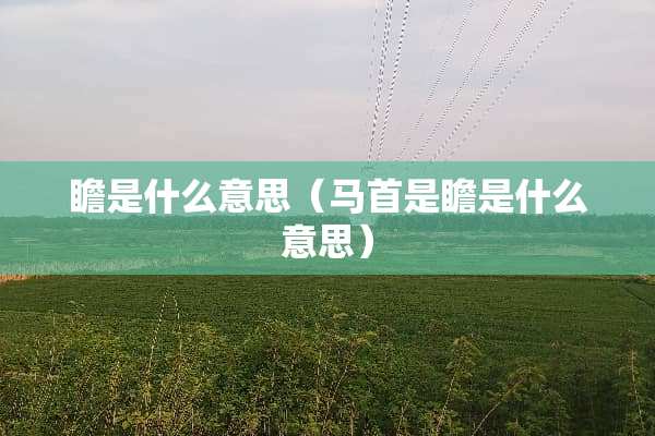 瞻是什么意思（马首是瞻是什么意思）