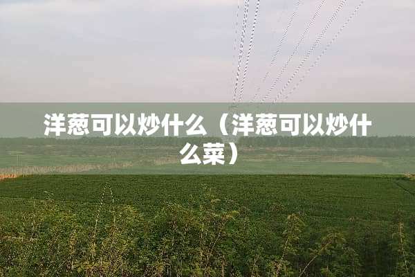 洋葱可以炒什么（洋葱可以炒什么菜）