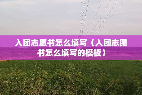 入团志愿书怎么填写（入团志愿书怎么填写的模板）