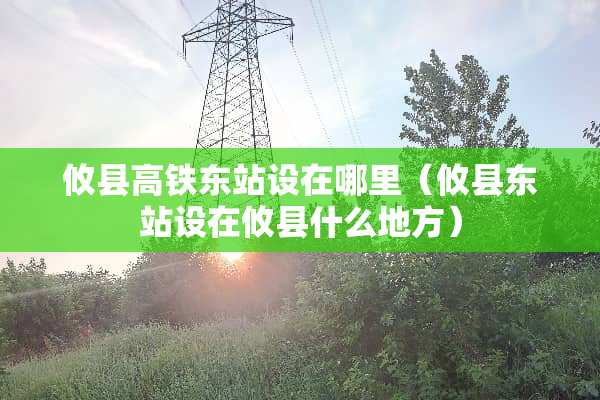 攸县高铁东站设在哪里（攸县东站设在攸县什么地方）