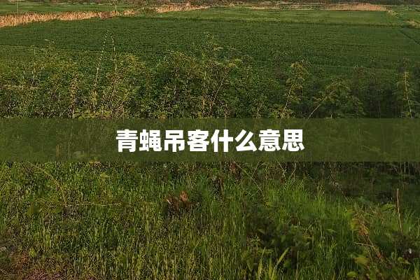青蝇吊客什么意思