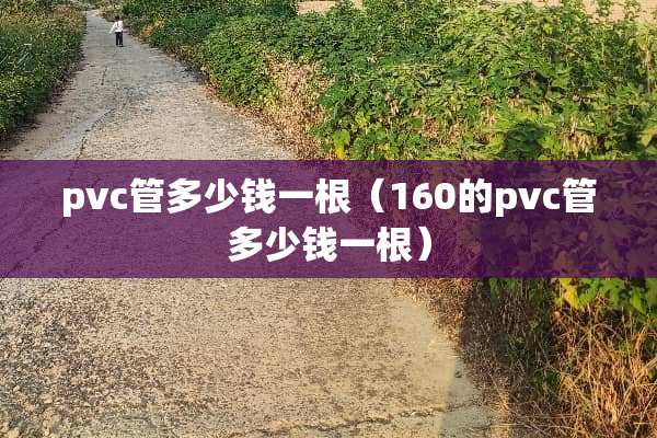 pvc管多少钱一根（160的pvc管多少钱一根）