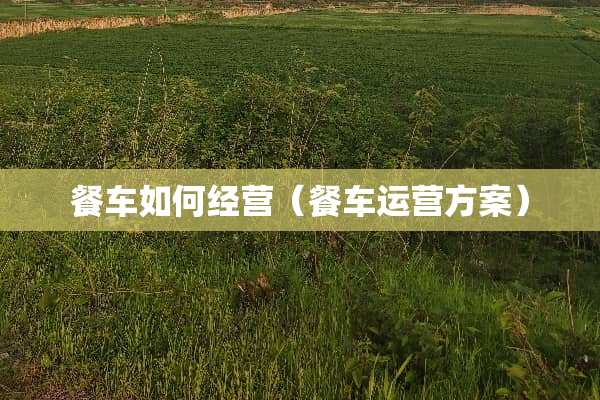 餐车如何经营（餐车运营方案）