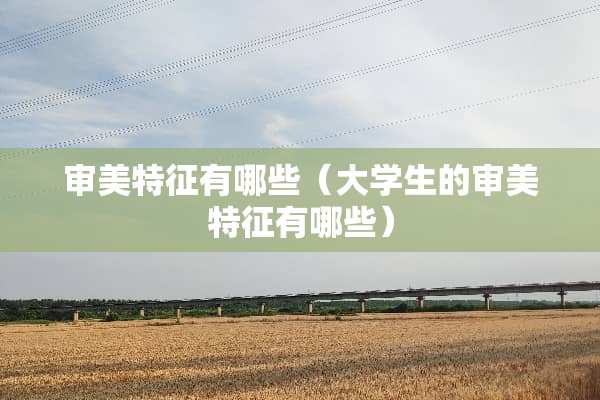 审美特征有哪些（大学生的审美特征有哪些）
