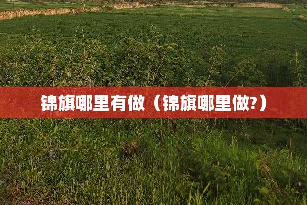 锦旗哪里有做（锦旗哪里做?）