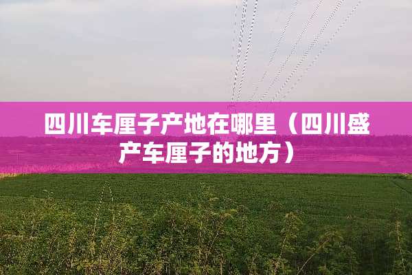 四川车厘子产地在哪里（四川盛产车厘子的地方）