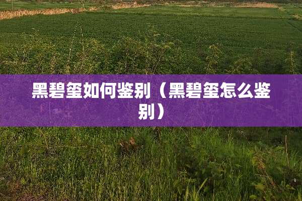 黑碧玺如何鉴别（黑碧玺怎么鉴别）