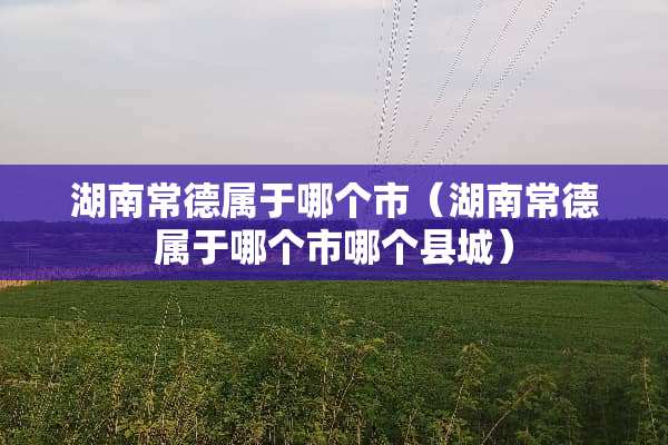 湖南常德属于哪个市（湖南常德属于哪个市哪个县城）