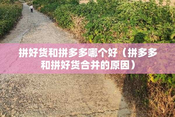 拼好货和拼多多哪个好（拼多多和拼好货合并的原因）
