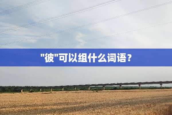 ''彼''可以组什么词语？