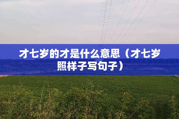 才七岁的才是什么意思（才七岁照样子写句子）