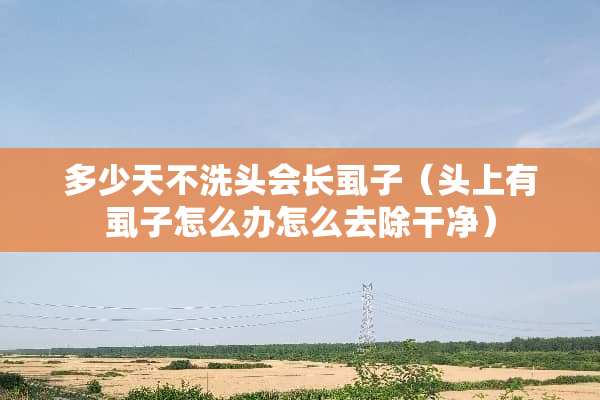 多少天不洗头会长虱子（头上有虱子怎么办怎么去除干净）
