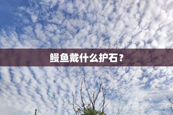 鳗鱼戴什么护石？