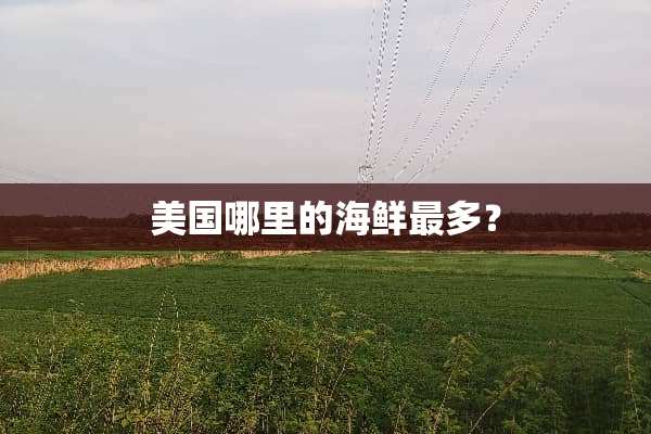 美国哪里的海鲜最多？