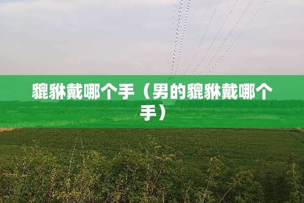 貔貅戴哪个手（男的貔貅戴哪个手）