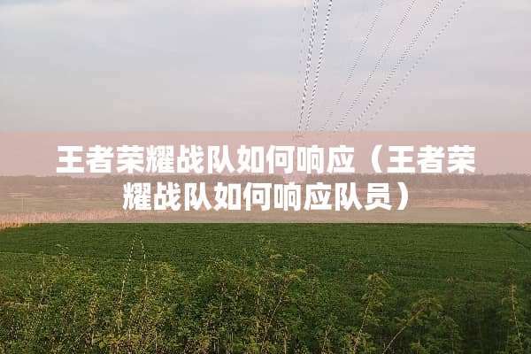 王者荣耀战队如何响应（王者荣耀战队如何响应队员）