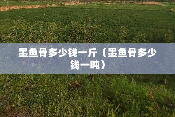 墨鱼骨多少钱一斤（墨鱼骨多少钱一吨）