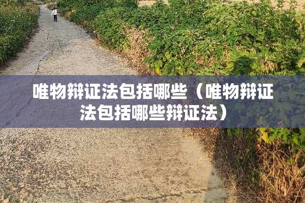 唯物辩证法包括哪些（唯物辩证法包括哪些辩证法）
