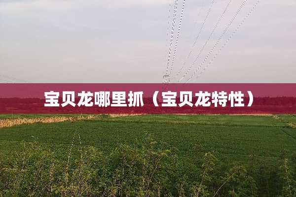 宝贝龙哪里抓（宝贝龙特性）