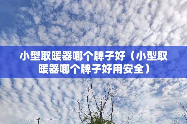 小型取暖器哪个牌子好（小型取暖器哪个牌子好用安全）