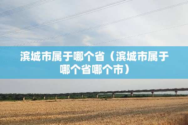 滨城市属于哪个省（滨城市属于哪个省哪个市）