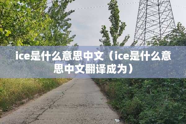 ice是什么意思中文（ice是什么意思中文翻译成为）