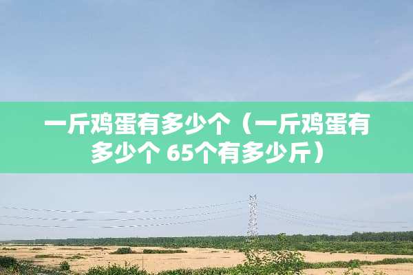 一斤鸡蛋有多少个（一斤鸡蛋有多少个 65个有多少斤）