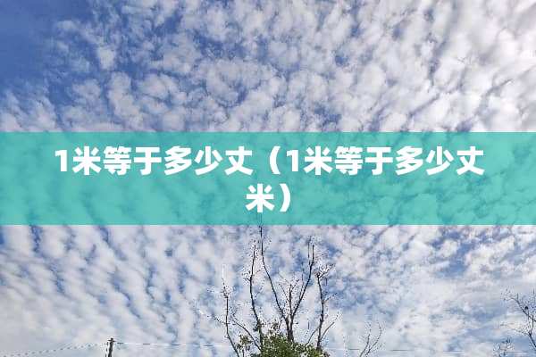1米等于多少丈（1米等于多少丈米）