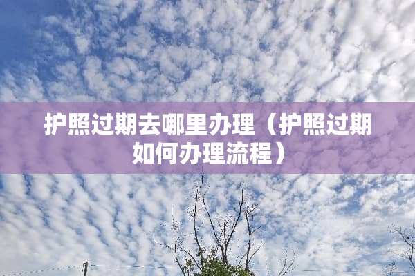 护照过期去哪里办理（护照过期如何办理流程）