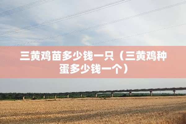 三黄鸡苗多少钱一只（三黄鸡种蛋多少钱一个）