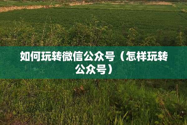 如何玩转微信公众号（怎样玩转公众号）