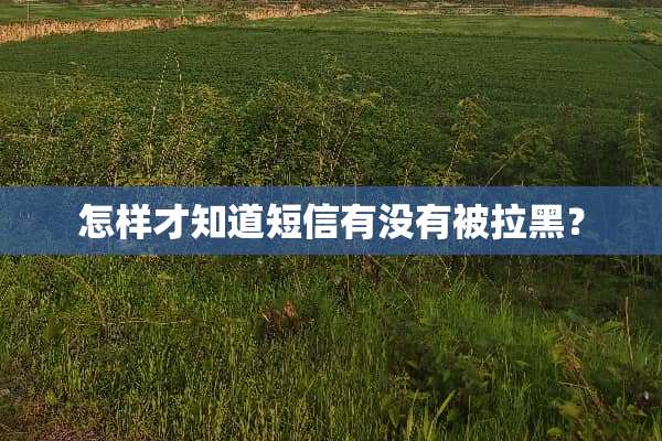 怎样才知道短信有没有被拉黑？