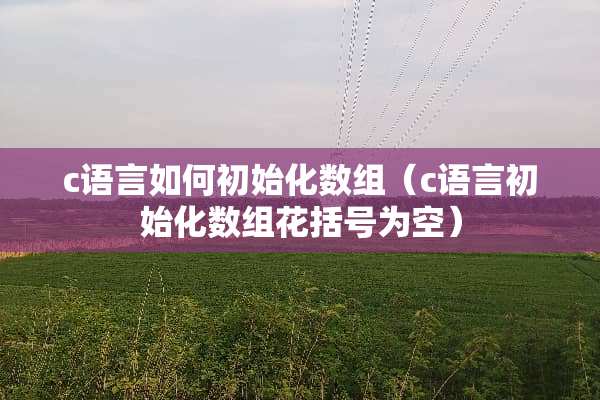 c语言如何初始化数组（c语言初始化数组花括号为空）
