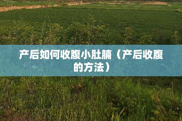 产后如何收腹小肚腩（产后收腹的方法）