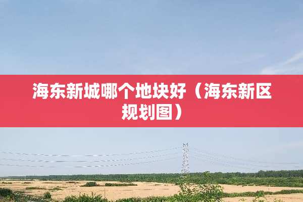 海东新城哪个地块好（海东新区规划图）