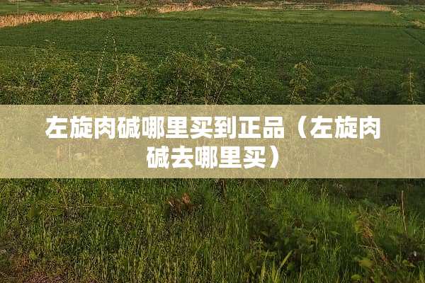 左旋肉碱哪里买到正品（左旋肉碱去哪里买）