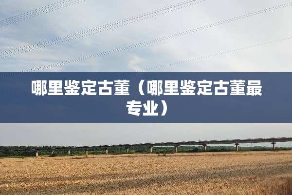 哪里鉴定古董（哪里鉴定古董最专业）