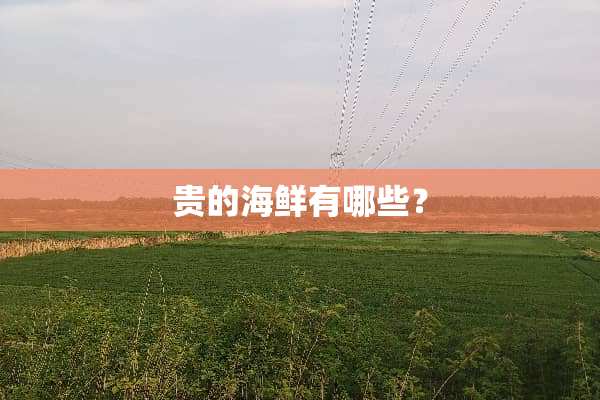 贵的海鲜有哪些？