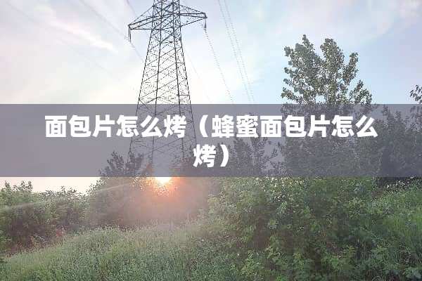 面包片怎么烤（蜂蜜面包片怎么烤）