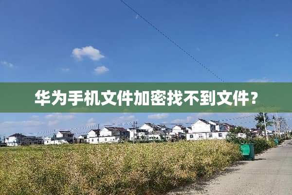 华为手机文件加密找不到文件？