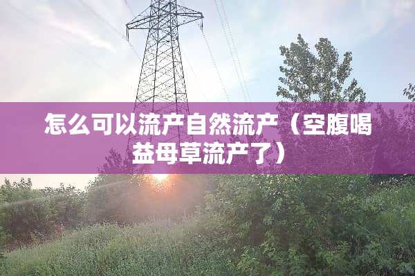 怎么可以流产自然流产（空腹喝益母草流产了）
