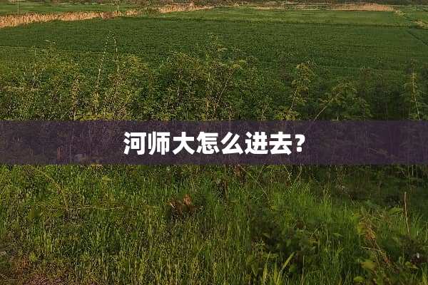河师大怎么进去？